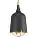 Progress P500098-031 Era Collection One-Light Matte Black and Gold Global Pendant Light Alternate Image.jpg