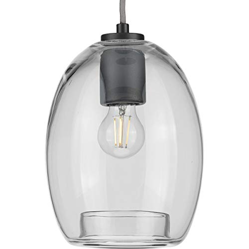 Progress P500159-143 Caisson Collection One-Light Graphite Clear Glass Global Pendant Light Alternate Image.jpg