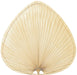 Fanimation ISP1 Blades Palm Blade Set Natural Main Image.jpg