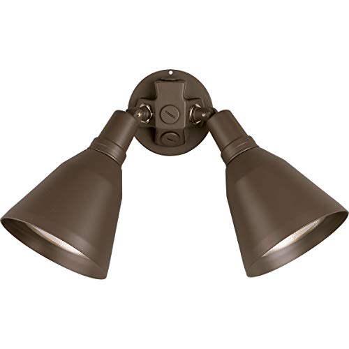 Progress P5203-20 Two-Light Adjustable Swivel Flood Light Alternate Image.jpg