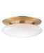 Hudson Valley 7018-SB Irvington LED Flush Mount, Satin Brass Alternate Image.jpg