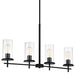 Minka-Lavery 4097-66A Haisley Four Light Island Pendant, Coal Alternate Image.jpg