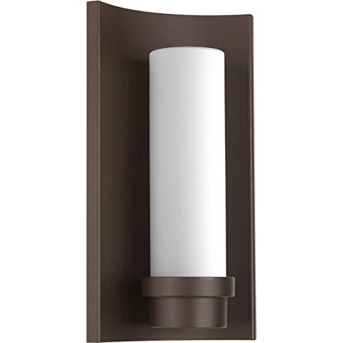 Progress P560030-129-30 Z-1020 Collection One-Light LED Wall Lantern Alternate Image.jpg