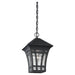 Generation Lighting 60131-12 Herrington One Light Outdoor Pendant, Black Alternate Image.jpg