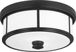 Minka-Lavery 4365-66A Harbour Point Two Light Ceiling Mount, Coal Alternate Image.jpg