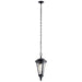 Kichler 49236BSL Cresleigh One Light Outdoor Pendant, Black with Silver Highlights Alternate Image.jpg