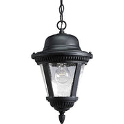 Progress P5530-31 Westport Collection One-Light Hanging Lantern Alternate Image.jpg