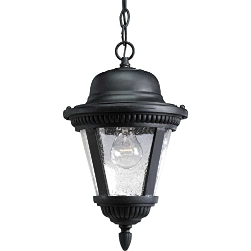 Progress P5530-31 Westport Collection One-Light Hanging Lantern Alternate Image.jpg