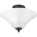 Progress P3855-20W Joy Collection Two-Light 13-1/4" Semi Flush Alternate Image.jpg