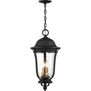 Minka-Lavery 73237-738 Peale Street Four Light Outdoor Chain Hung, Sand Coal And Vermeil Gold Alternate Image 3.jpg