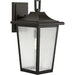 Progress P560309-020 Padgett Collection One-Light Transitional Antique Bronze Clear Seeded Glass Outdoor Wall Lantern Alternate Image.jpg