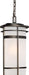 Capital Lighting 9885OB Lakeshore One Light Outdoor Hanging Lantern, Old Bronze Alternate Image.jpg