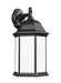 Generation Lighting 8438751-12 Sevier One Light Outdoor Wall Lantern, Black Alternate Image.jpg