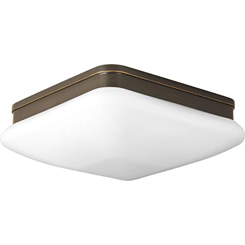 Progress P3511-20 Appeal Collection Two-Light 11" Flush Mount Alternate Image.jpg