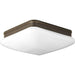 Progress P3511-20 Appeal Collection Two-Light 11" Flush Mount Alternate Image.jpg