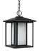 Generation Lighting 69029-12 Hunnington One Light Outdoor Pendant, Black Alternate Image.jpg