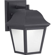 Progress P560136-031-30 One-Light LED Small Wall Lantern Alternate Image.jpg