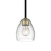 Minka-Lavery 2430-878 Winsley One Light Pendant, Coal And Stained Brass Alternate Image.jpg