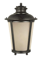 Generation Lighting 88244EN3-780 Cape May One Light Outdoor Wall Lantern, Burled Iron Alternate Image.jpg