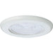 Progress P8011-60 6" Fresnel Lens Shower Trim for 6" Recessed (P87/P187/P821) Alternate Image.jpg