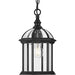 Progress P550122-031 Dillard Collection One-Light Traditional Textured Black Clear Glass Outdoor Hanging Light Alternate Image.jpg