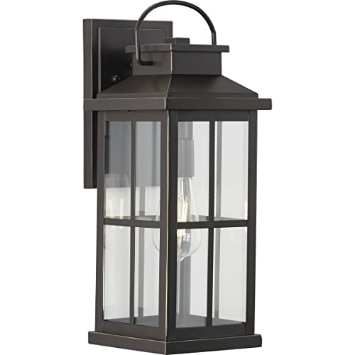 Progress P560266-020 Williamston Collection One-Light Antique Bronze and Clear Glass Transitional Style Large Outdoor Wall Lantern Alternate Image.jpg