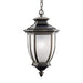 Kichler 9843RZ Salisbury One Light Outdoor Pendant, Rubbed Bronze Alternate Image.jpg