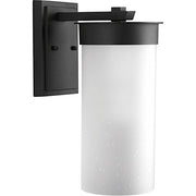 Progress P5665-31 Hawthorne Collection One-Light Large Wall Lantern Alternate Image.jpg