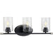 Progress P300278-031 Riley Collection Three-Light Matte Black Clear Glass Modern Bath Vanity Light Alternate Image.jpg