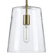 Progress P500241-012 Clarion Collection One-Light Satin Brass Clear Glass Coastal Pendant Light Alternate Image.jpg