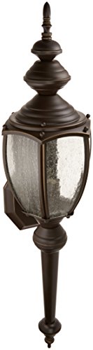 Progress P5767-20 Roman Coach One-Light Medium Wall Lantern Alternate Image.jpg