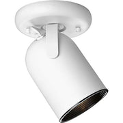Progress P6147-30 One-Light Multi Directional Roundback Wall/Ceiling Fixture Alternate Image.jpg