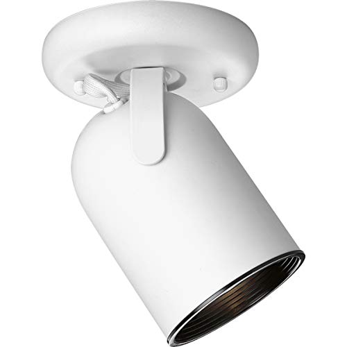 Progress P6147-30 One-Light Multi Directional Roundback Wall/Ceiling Fixture Alternate Image.jpg