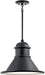 Kichler 49777BK Northland One Light Outdoor Pendant, Black Alternate Image.jpg