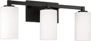 Capital Lighting 119831BI-545 Ravenwood Three Light Vanity, Black Iron Alternate Image 4.jpg