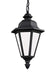 Generation Lighting 69025-12 Brentwood One Light Outdoor Pendant, Black Alternate Image.jpg