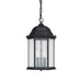 Capital Lighting 9836BK Main Street Three Light Outdoor Hanging Lantern, Black Main Image.jpg