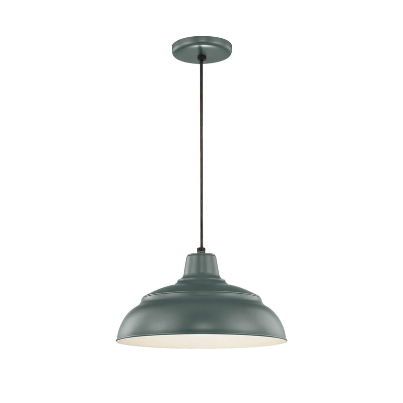 Millennium RWHC14-SG R Series One Light Pendant, Satin Green Main Image.jpg
