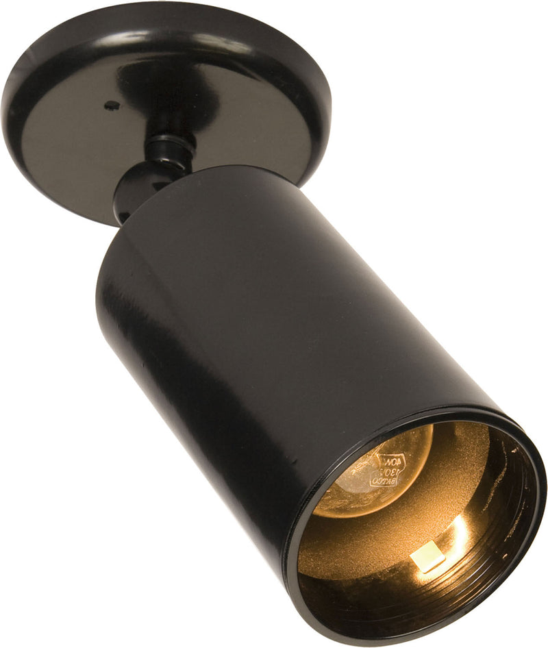 Maxim 92010BK Spots One Light Flush Mount, Black Main Image.jpg