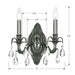 Crystorama 5562-PW-CL-SAQ Dawson Two Light Wall Sconce Pewter Alternate Image.jpg