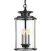 Progress P550012-031 Squire Collection Three-Light Hanging Lantern Alternate Image.jpg