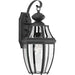 Progress P6611-31 New Haven Collection One-Light Medium Wall Lantern Alternate Image.jpg