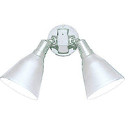 Progress P5203-30 Two-Light Adjustable Swivel Flood Light Alternate Image.jpg