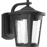 Progress P6078-3130K9 East Haven Collection One-Light Medium LED Wall Lantern Alternate Image.jpg