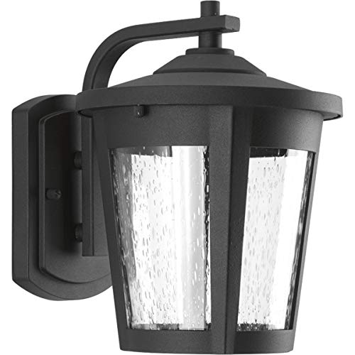 Progress P6078-3130K9 East Haven Collection One-Light Medium LED Wall Lantern Alternate Image.jpg
