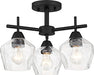 Minka-Lavery 2172-66A Camrin Three Light Semi Flush / Chandelier, Coal Alternate Image 2.jpg