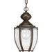 Progress P5565-20 Roman Coach Collection One-Light Hanging Lantern Alternate Image.jpg