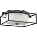 Progress P350171-031 Chadwick Collection Two-Light Black 15-3/8" Flush Mount Alternate Image.jpg