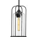 Progress P550292-031 Watch Hill Collection One-Light Textured Black and Clear Seeded Glass Farmhouse Style Outdoor Hanging Pendant Lantern Alternate Image.jpg