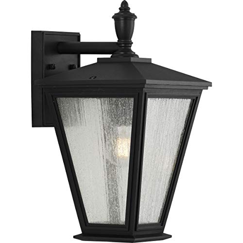Progress P560167-031 Cardiff Collection One-Light Medium Wall Lantern with DURASHIELD Alternate Image.jpg